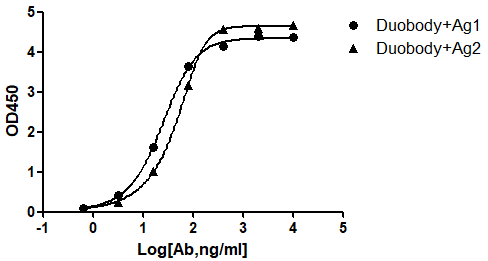 Fig. 4: Dubody ELISA Titer Analysis