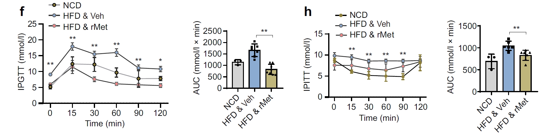 METRNL protein activity analysis