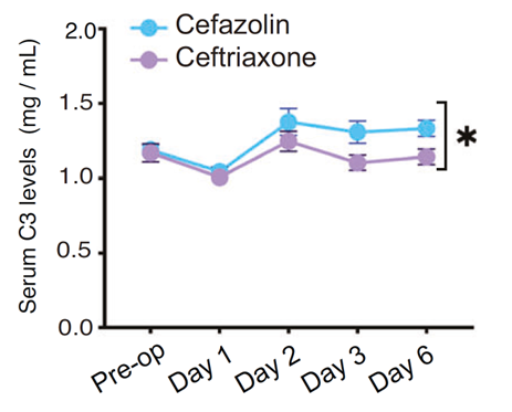 Ceftriaxone significantly reduces postoperative PNCD incidence in elderly patients, improving cognitive function.