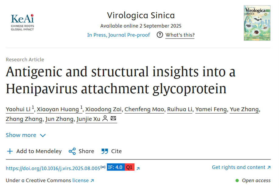 Antigenic and structural insights into a Henipavirus attachment glycoprotein