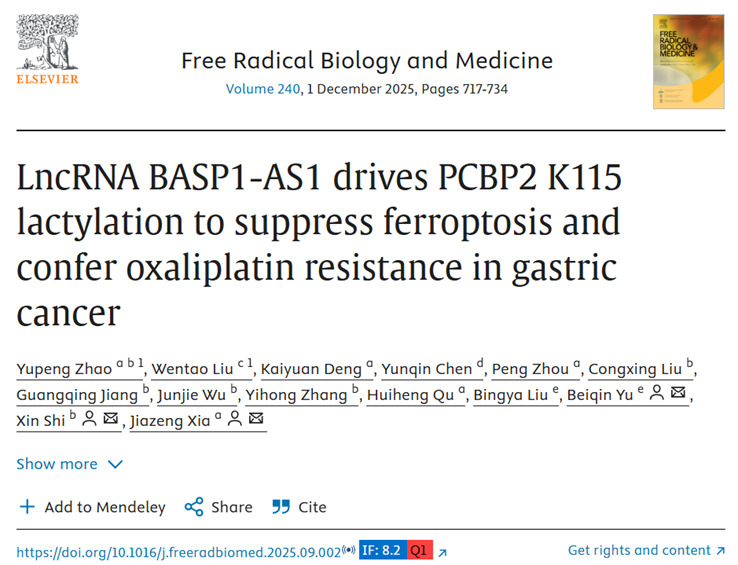 LncRNA BASP1-AS1 Drives PCBP2 K115 Lactylation to Suppress Ferroptosis and Confer Oxaliplatin Resistance in Gastric Cancer  Journal: Free Radical Biology and Medicine