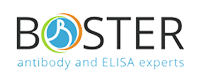 Boster Biological Technology Logo