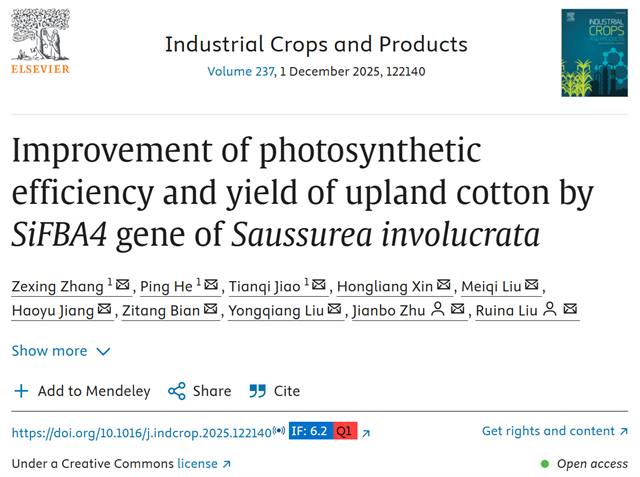 Improvement of photosynthetic efficiency and yield of upland cotton by SiFBA4 gene of Saussurea involucrata
