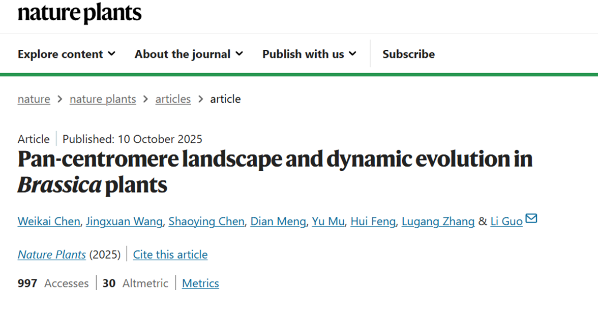 Pancentromere landscape and dynamic evolution in Brassica plants