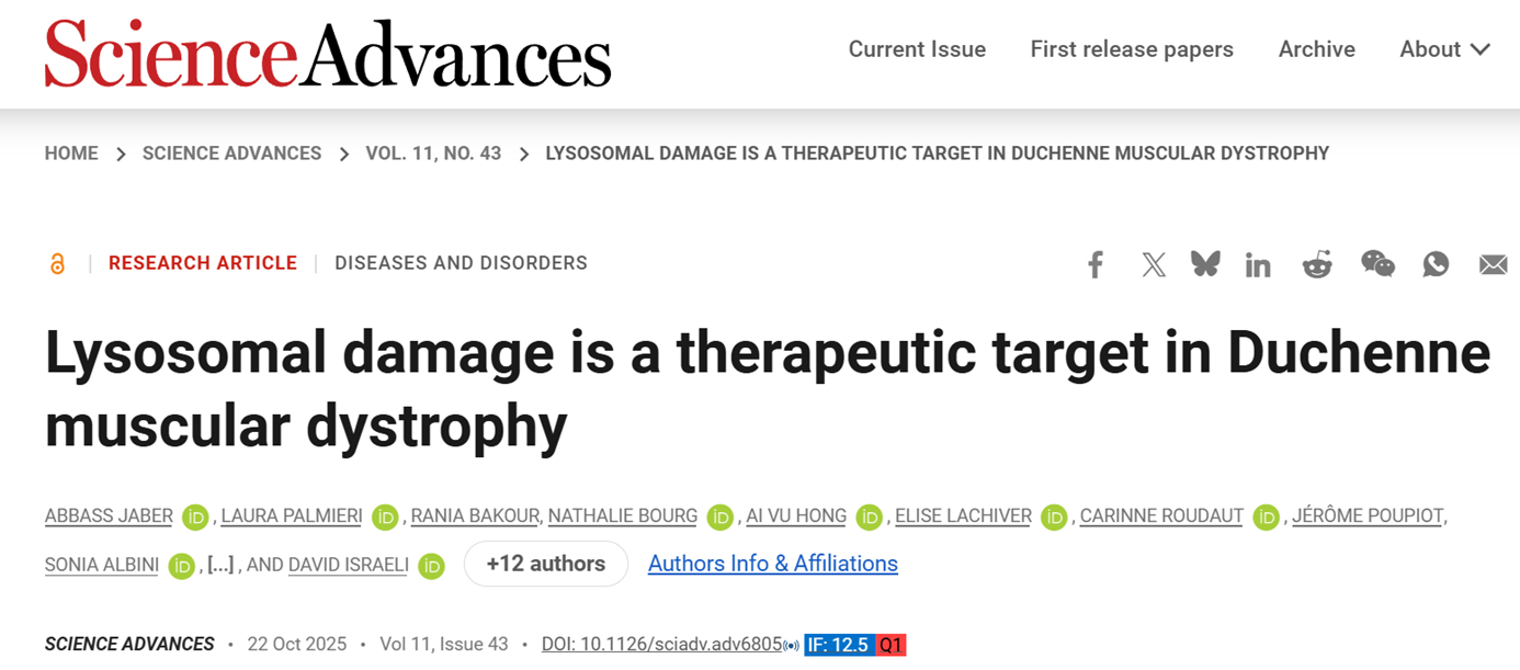 Lysosomal damage is a therapeutic target in Duchenne muscular dystrophy