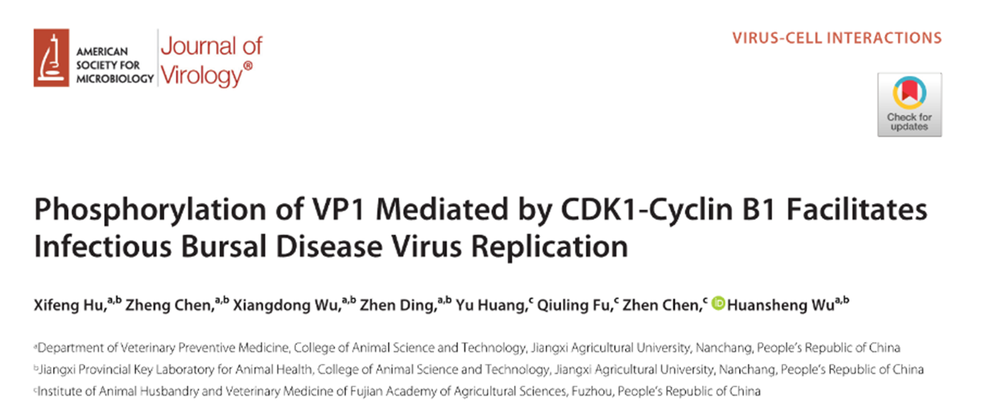 Hu, Xifeng et al. Journal of virology (2023)