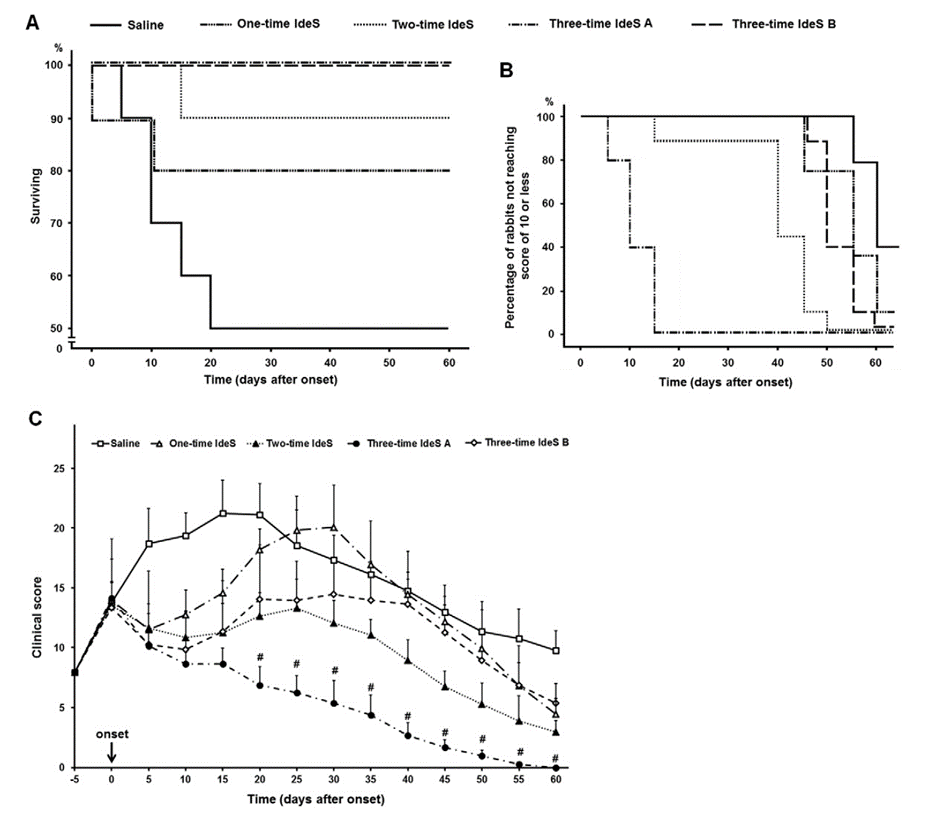 IdeS improves clinical symptoms in rabbit acute motor axonal neuropathy model