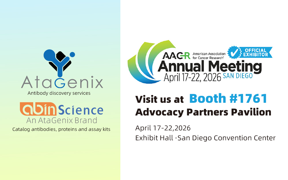 AACR Annual Meeting 2026 San Diego