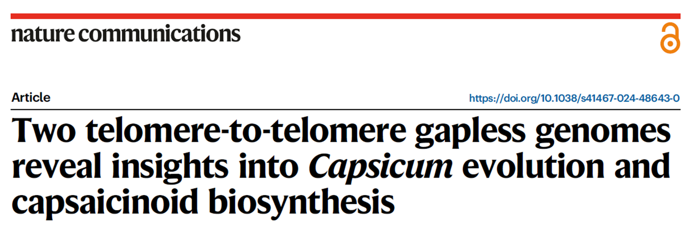 Pepper genome and centromere research