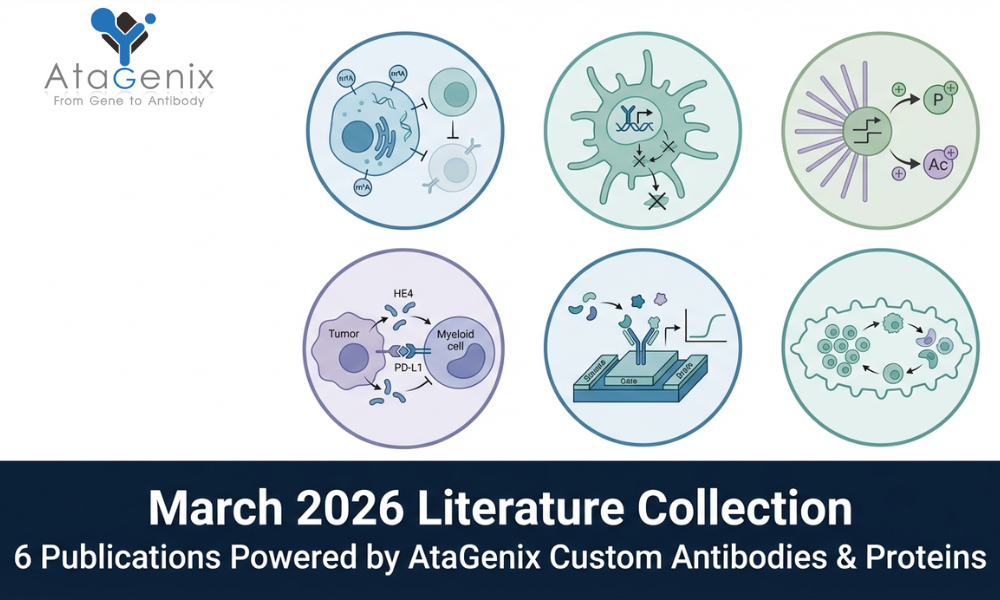 AtaGenix March 2026 Research Highlights: Collaborative Breakthroughs Published in Top Journals