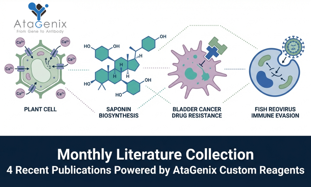 AtaGenix Fabruary 2026 Literature Collection: Advancing Life Sciences Through Cutting-Edge Research Support