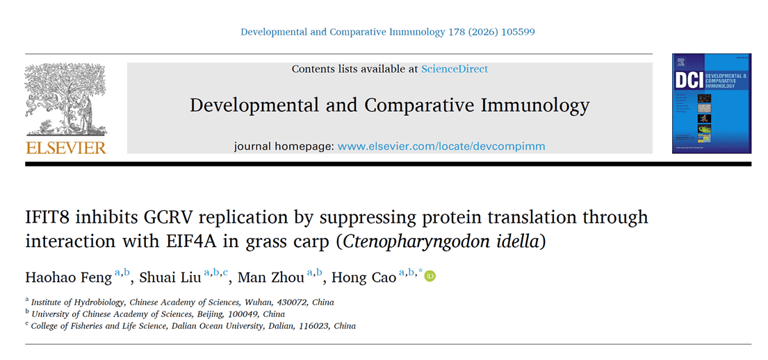 IFIT8 inhibits GCRV replication by suppressing protein translation through interaction with EIF4A in grass carp (Ctenopharyngodon idella)
