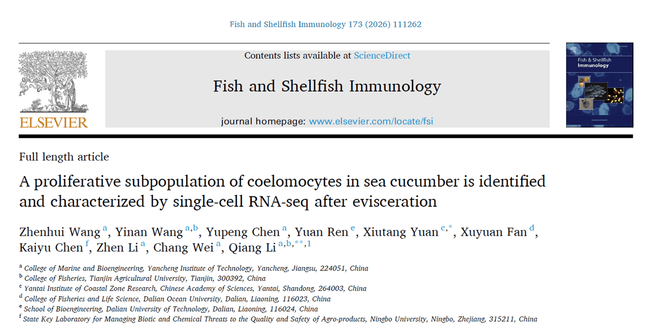 A proliferative subpopulation of coelomocytes in sea cucumber is identified and characterized by single-cell RNA-seq after evisceration